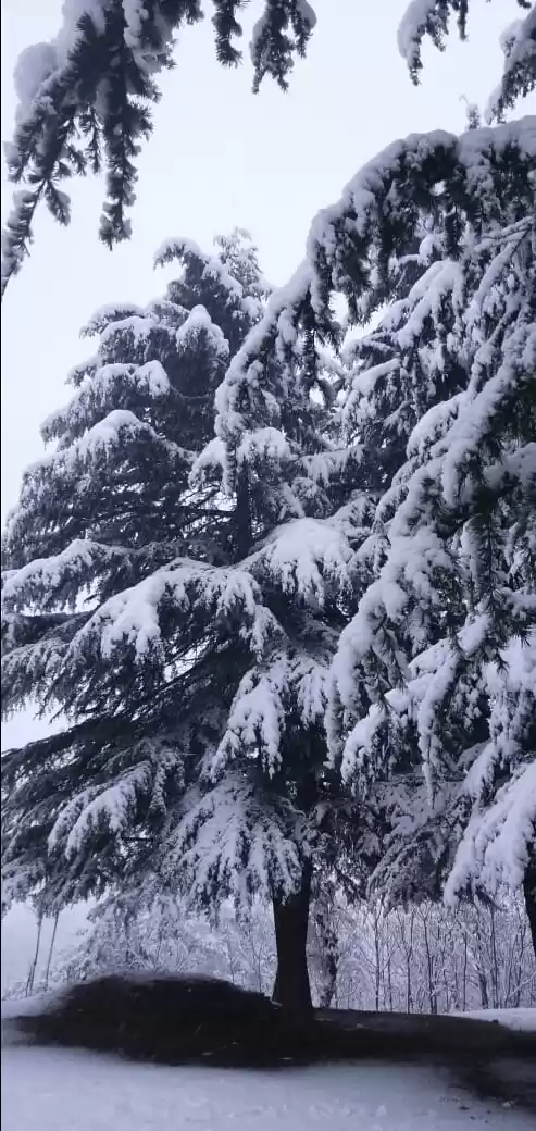 Photo of Kashmir a paradise