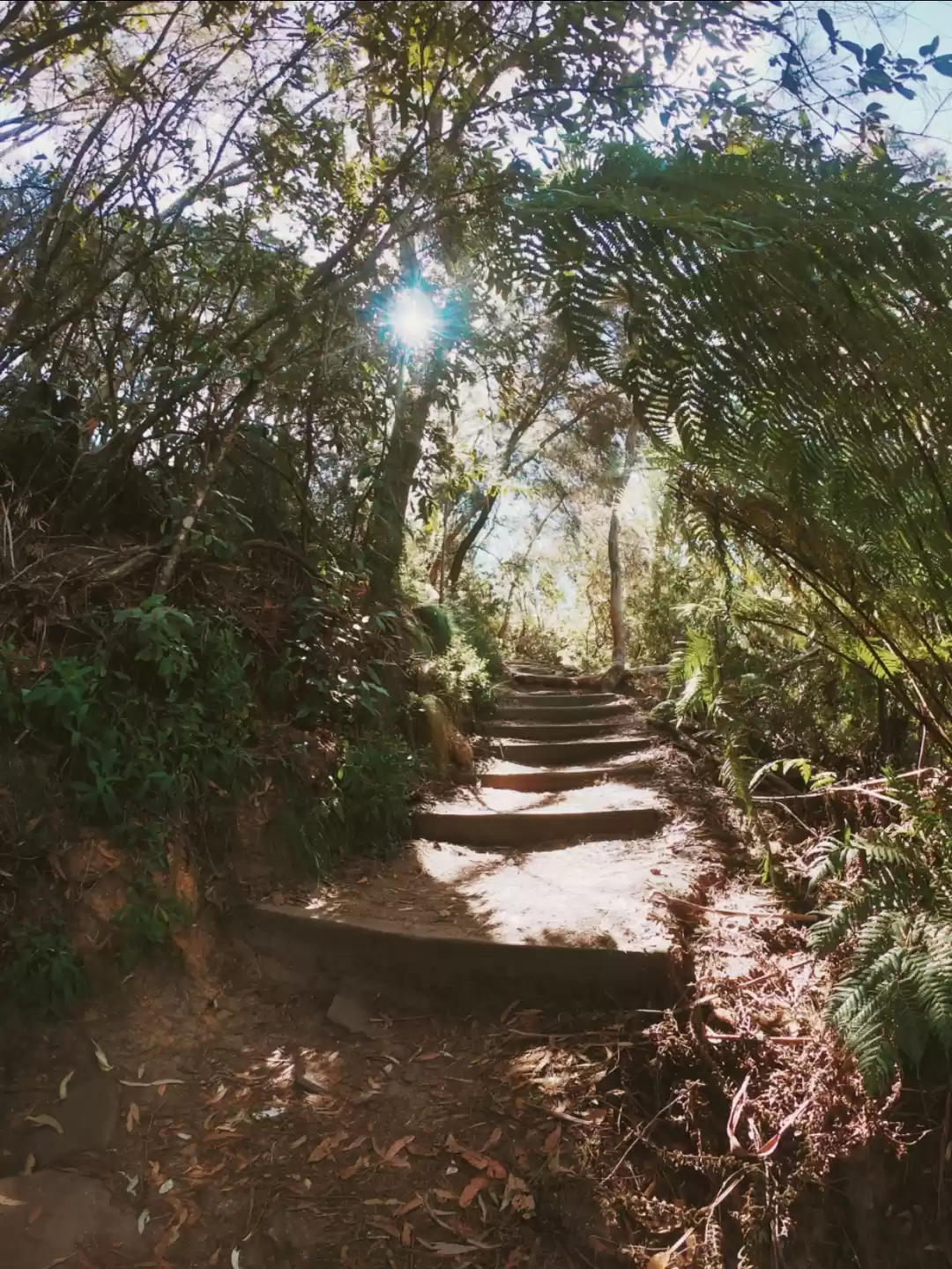 Photo of Photoblog:The Road L