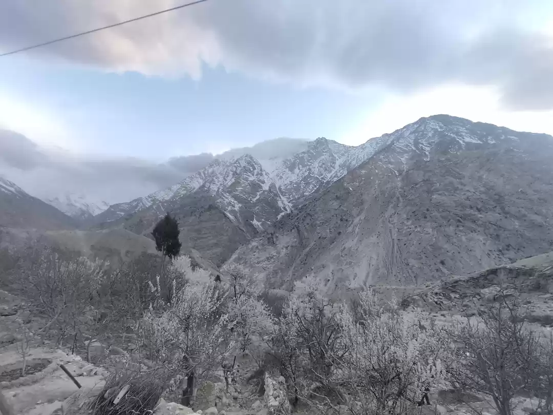 Photo of Prabhu homestay NAKO