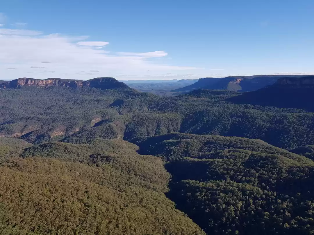 Photo of A True Love Story- T