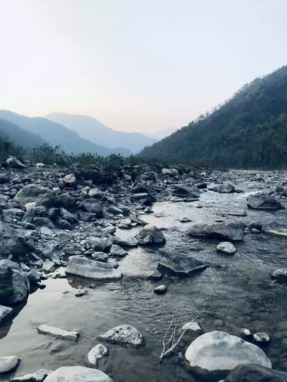 Photo of Rishikesh: Shiv Call