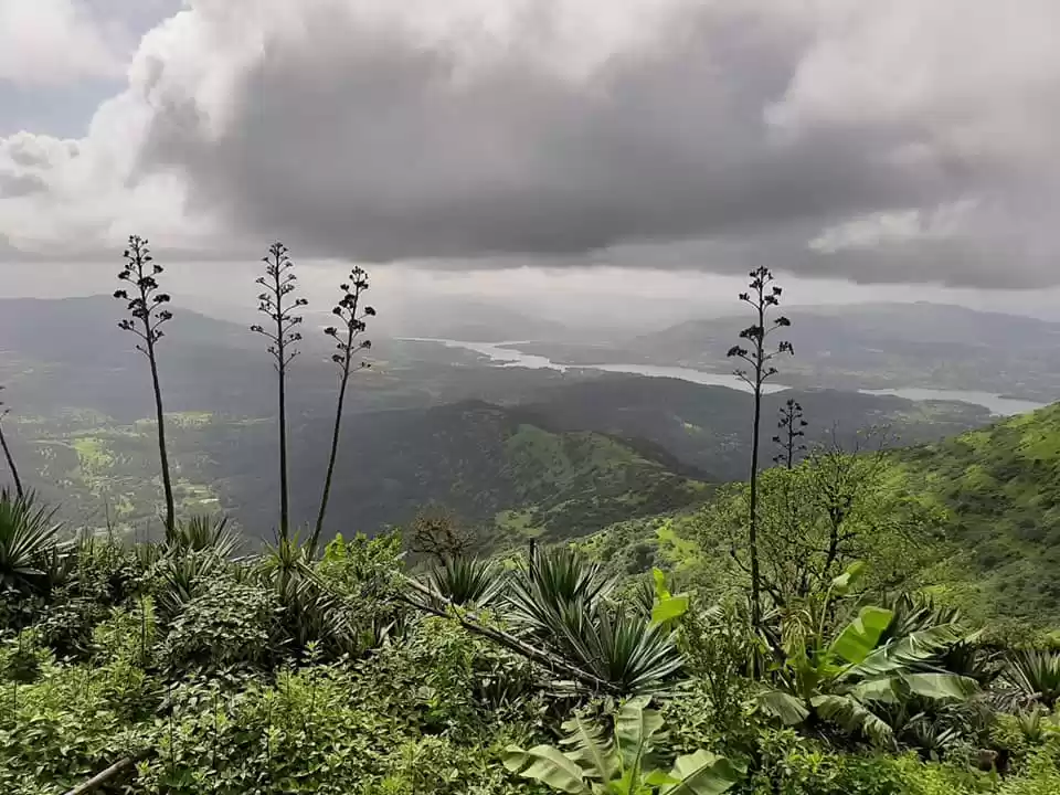 Photo of This is why Pune and