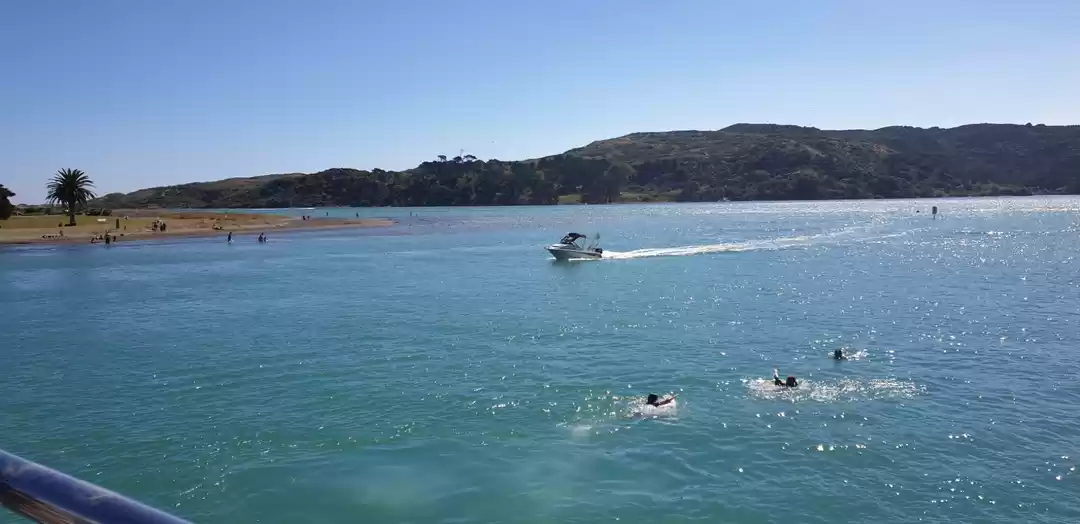 Photo of A Day In Raglan(NZ)