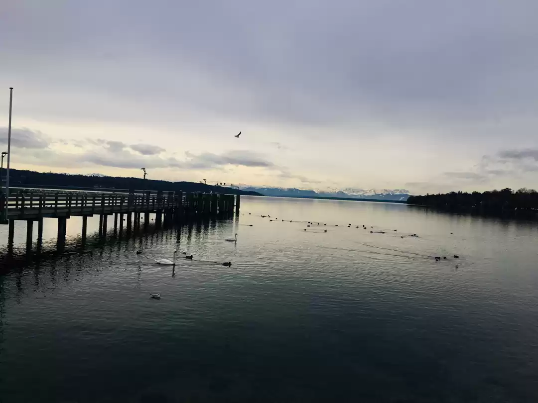 Photo of Bavaria Beauty #TheB