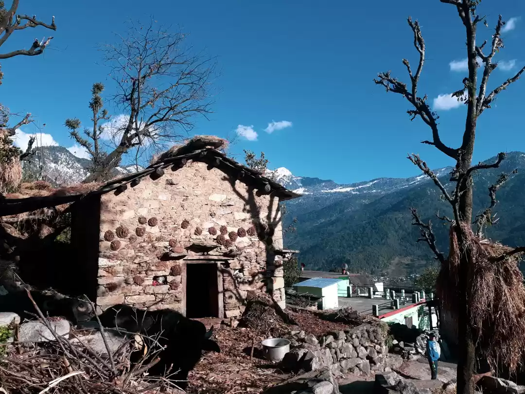 Photo of Saari the village in