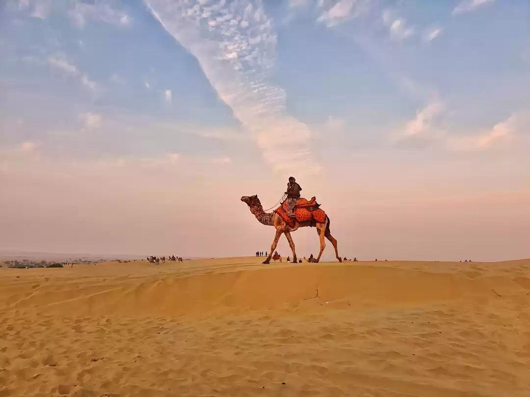 Photo of Camel Safari in Thar