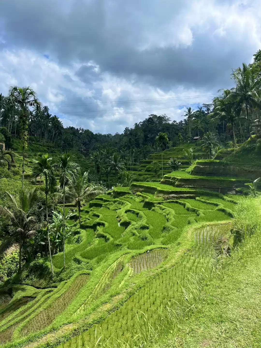 Photo of #Unesco site with ri