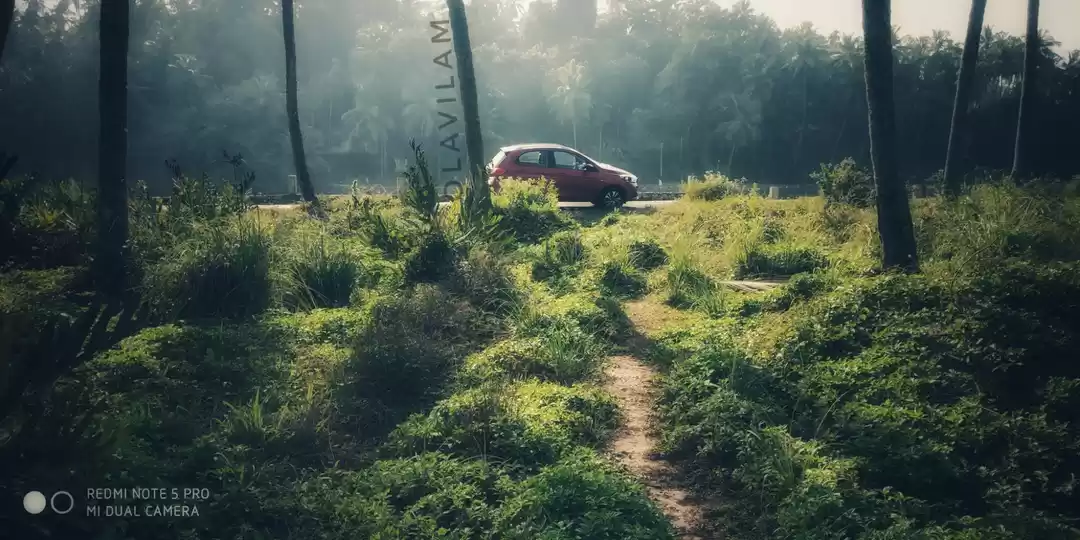 Photo of Golden rays of Mahe.