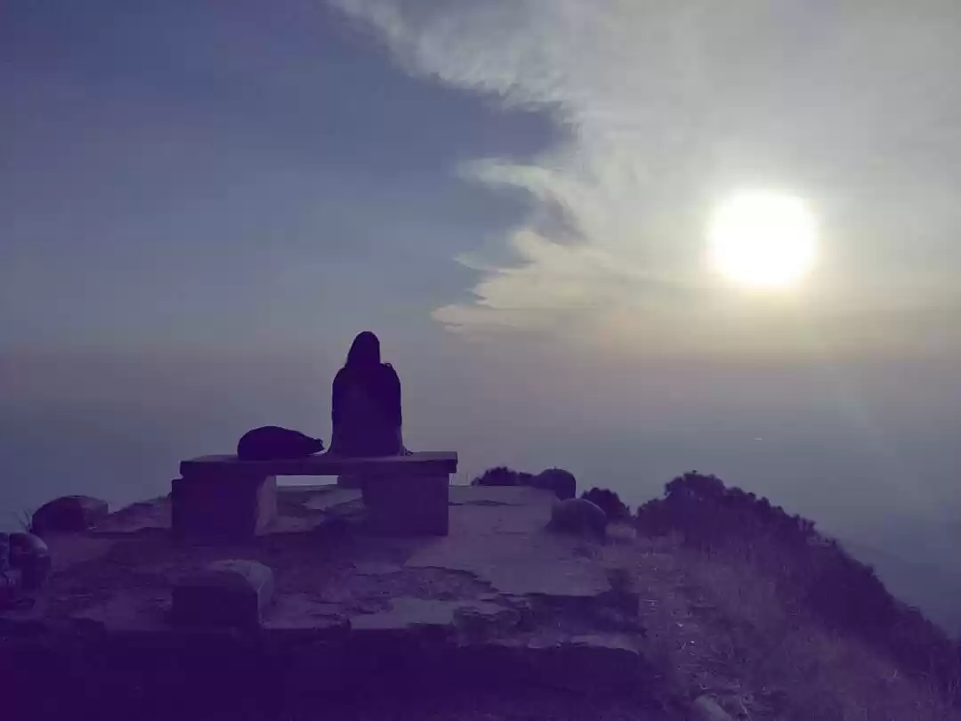 Photo of Cheers to Kasauli!