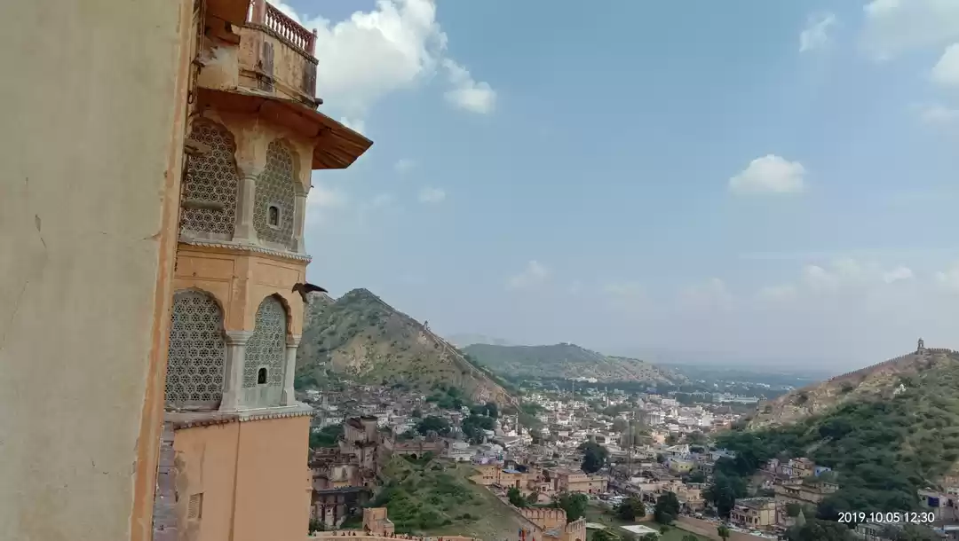 Photo of Pink City calls...th