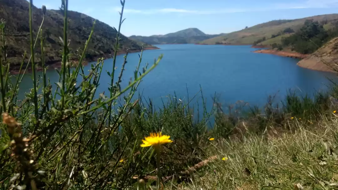 Photo of Avalanche Lake: Unsc