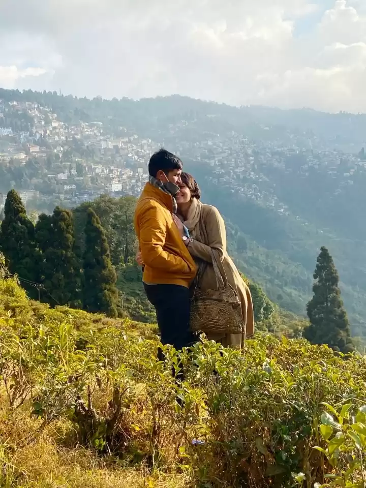 Photo of Romance in Tea Garde