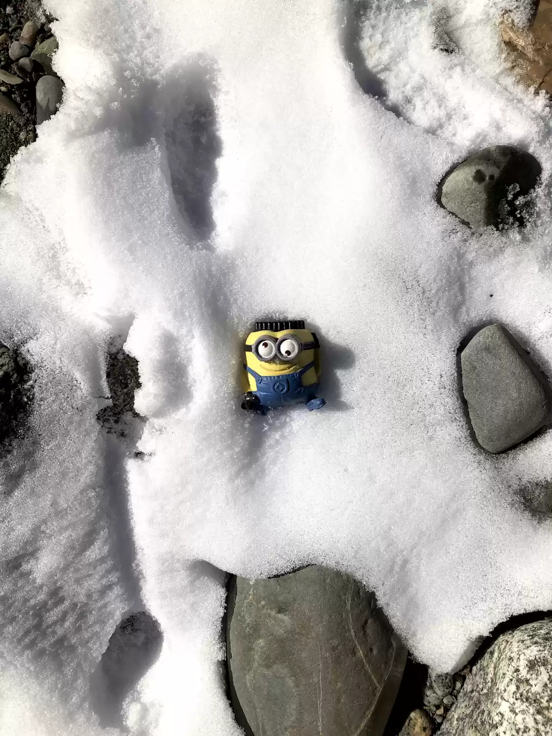 Photo of Chitkul on a Shoe-St