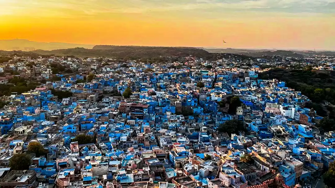 Photo of Jodhpur - The Blue M