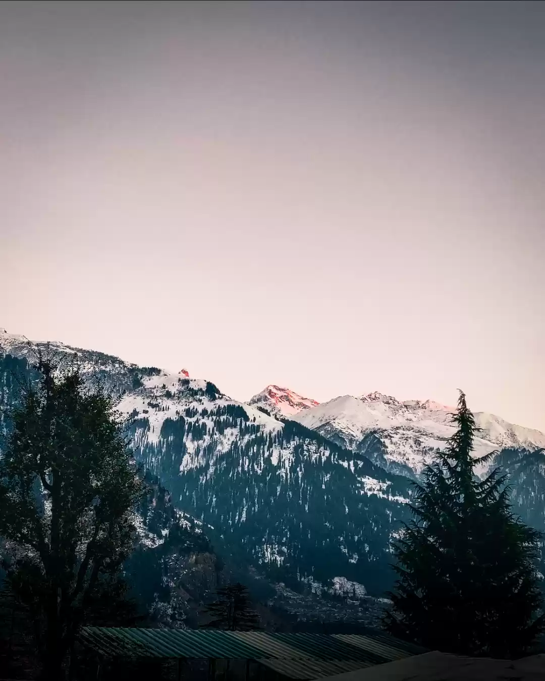 Photo of Traveling with the b