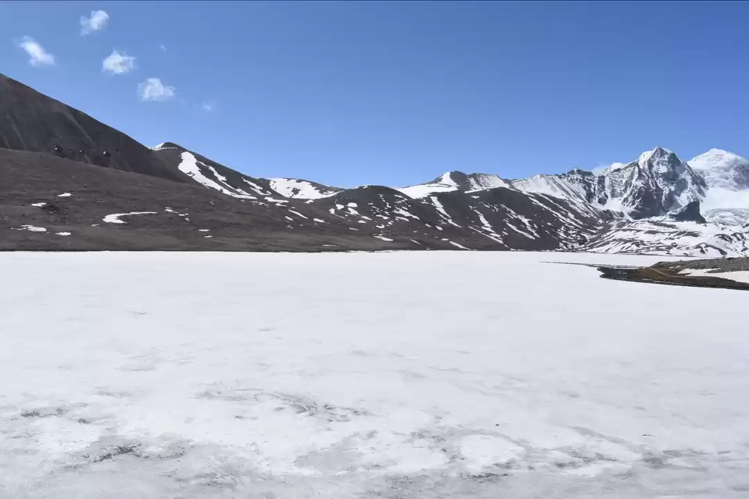 Photo of Follow the local adv