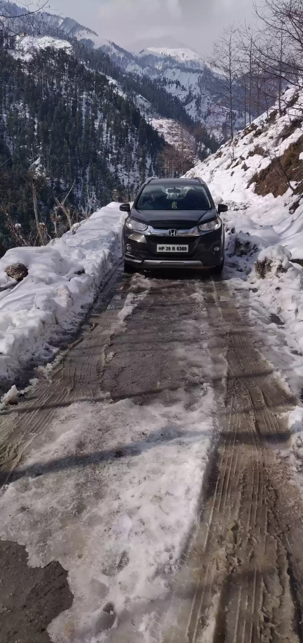 Photo of On The Way to "Srina