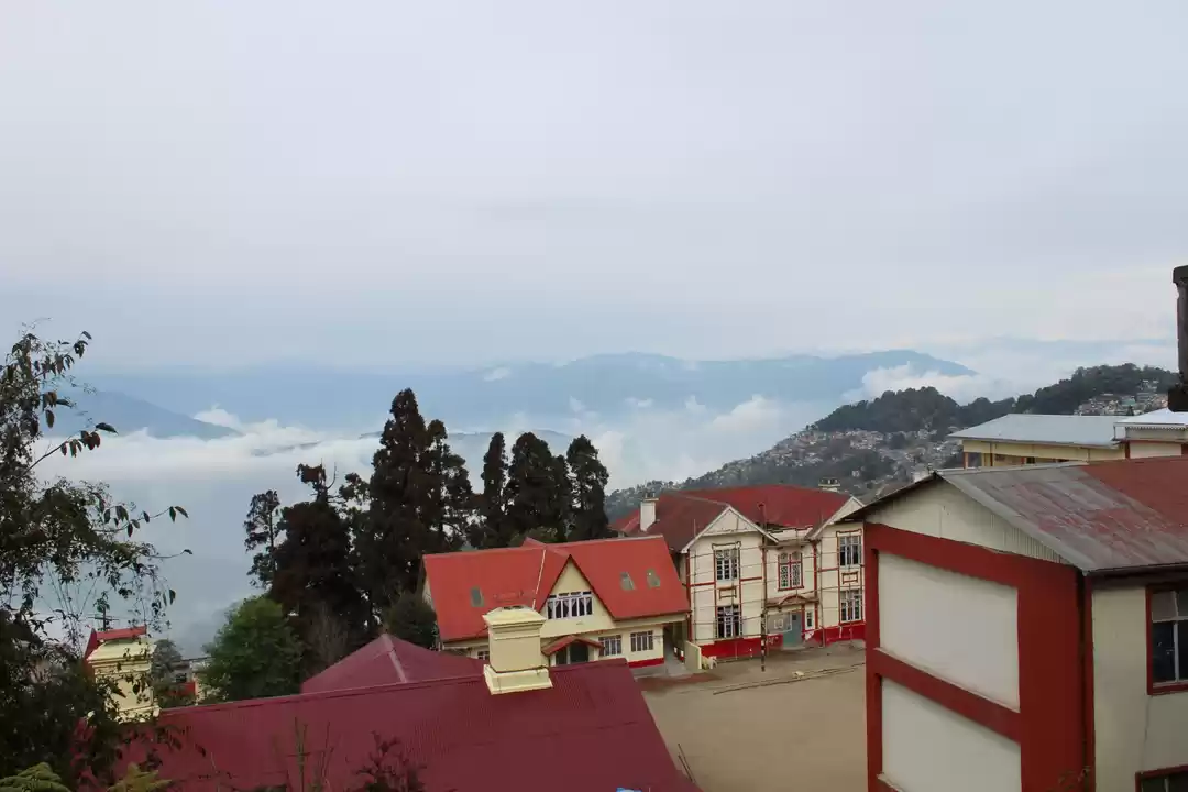 Photo of The dazzling Darjeel