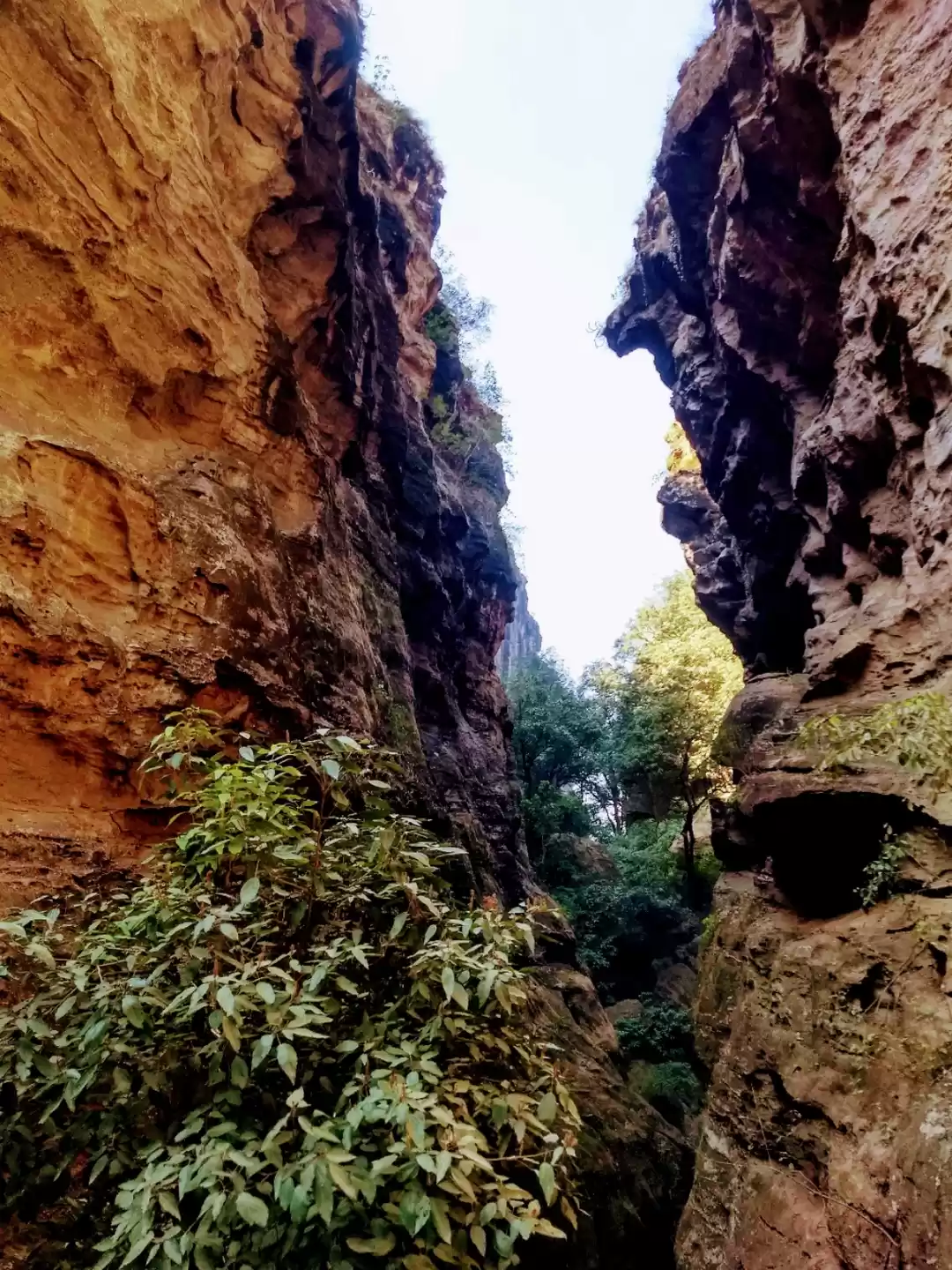 Photo of Days in Central Indi