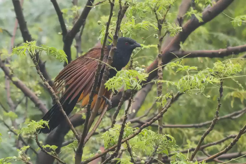 Photo of 13 Fun and Almost Fr