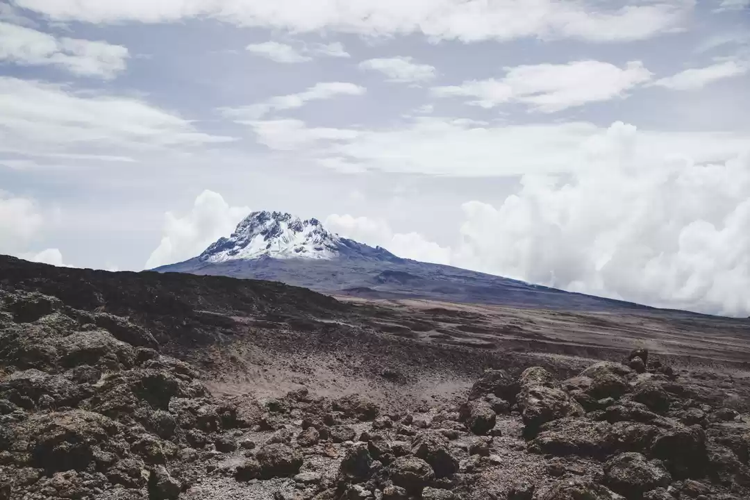 Photo of 5 Best Things to Do 