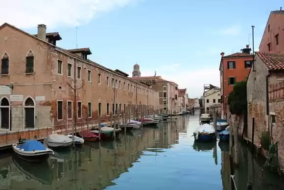 Photo of How to Avoid the Cro