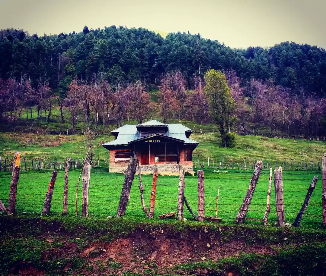 Photo of Pahalgam Part 3