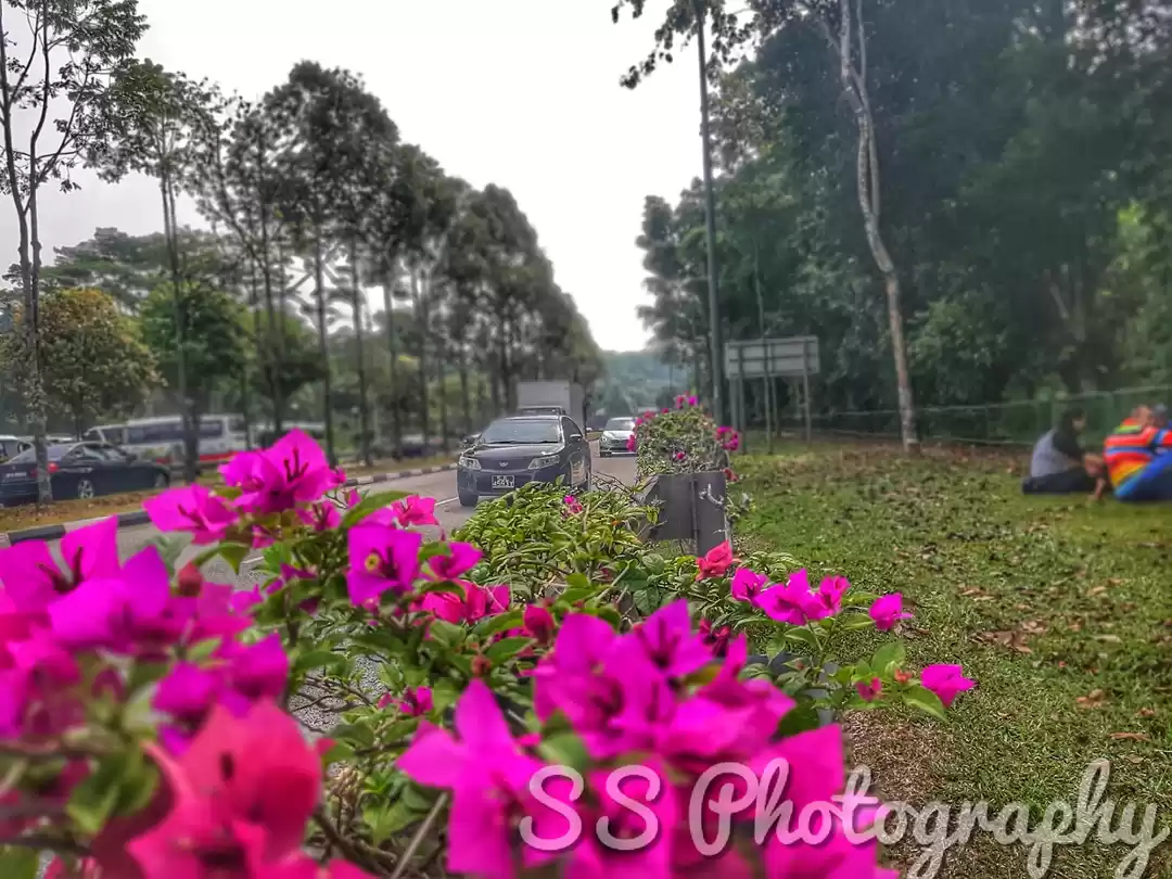 Photo of Unforseeable Bukit T