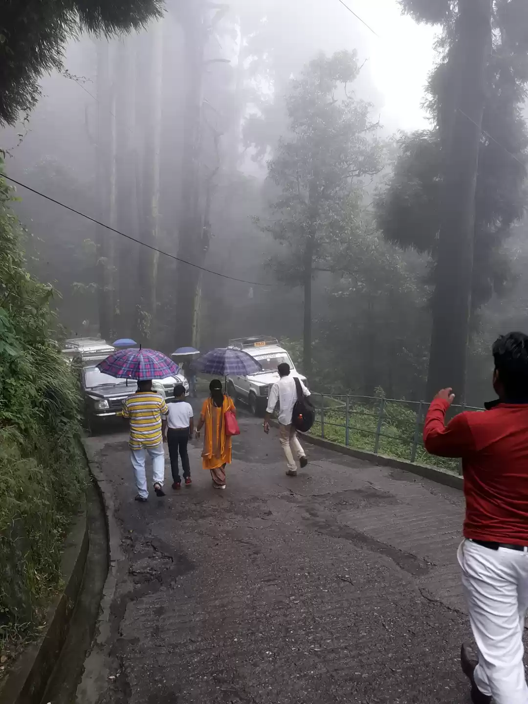 Photo of How to manage your d