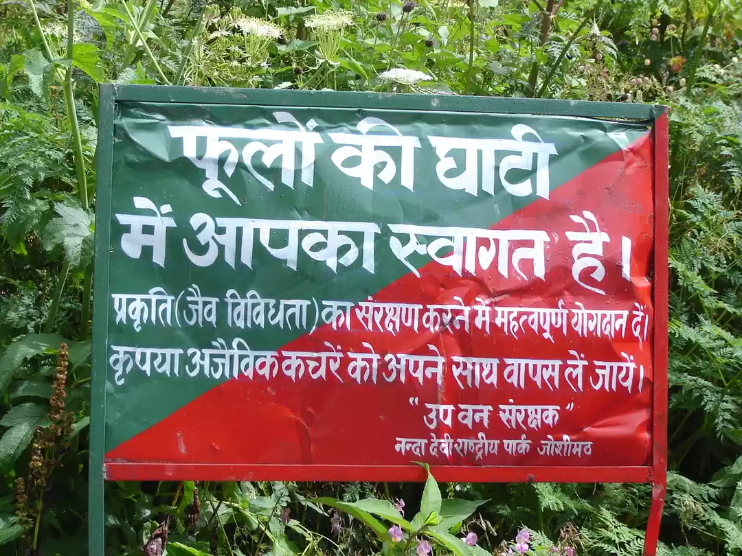 Photo of Valley of Flowers Tr