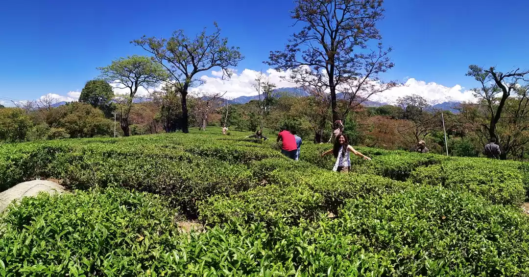 Photo of Dhauladhar range 
