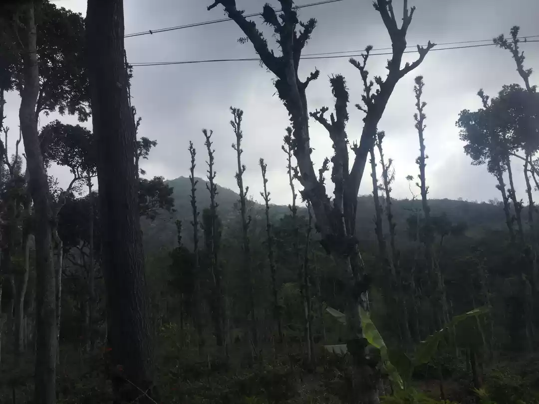 Photo of Just 4 Hour Driving