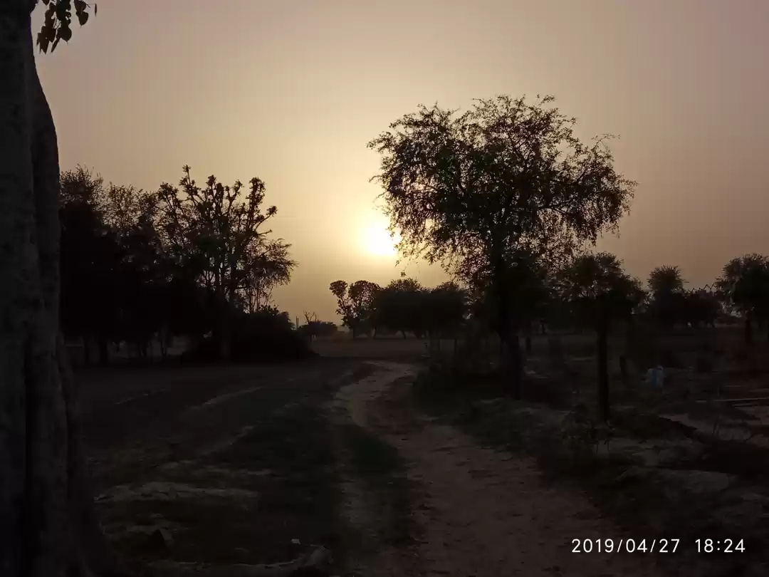 Photo of Blossoming Bhairubas