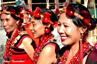 Photo of Nagaland: Hornbill f