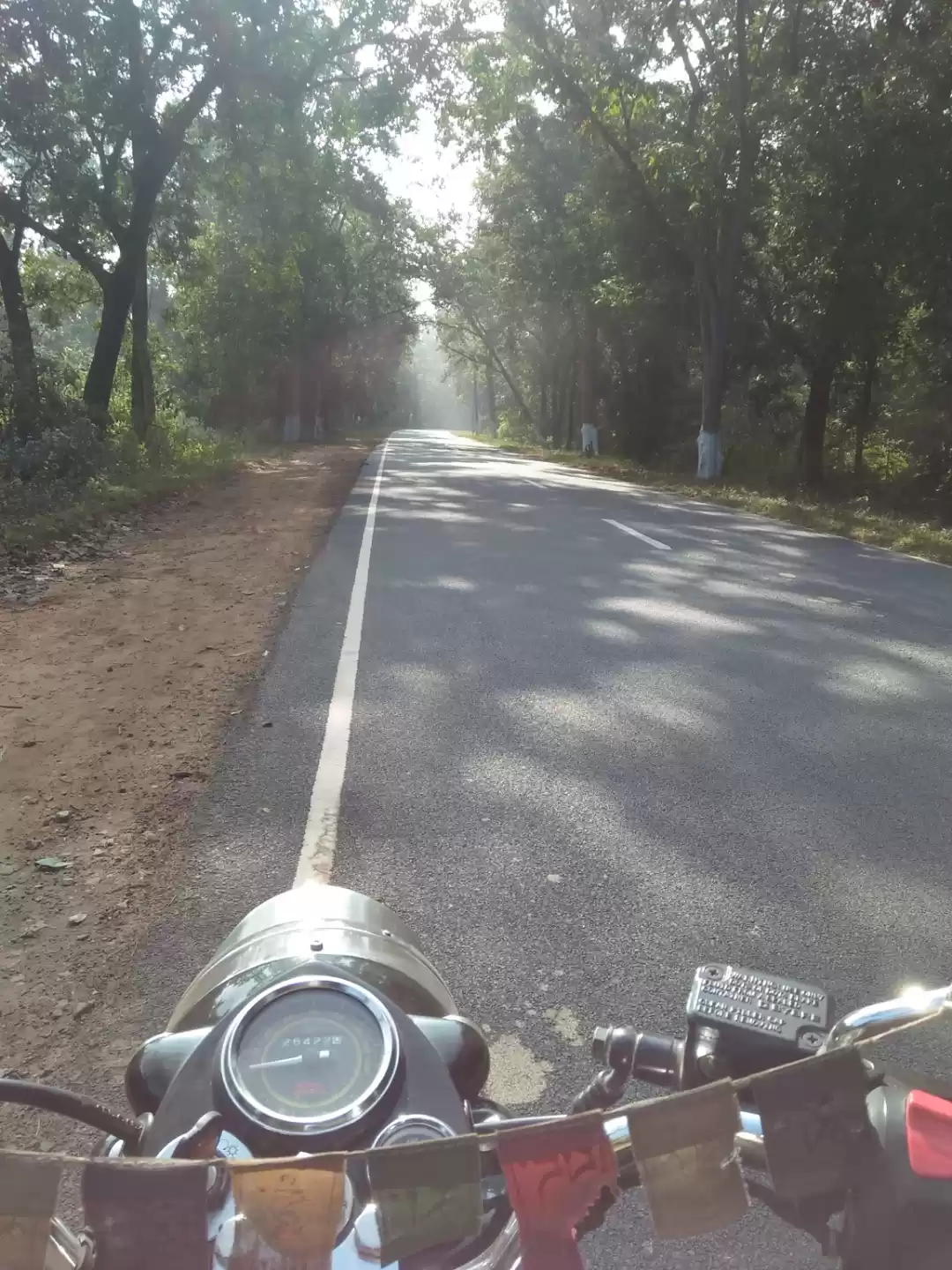 Photo of Exploring wilderness