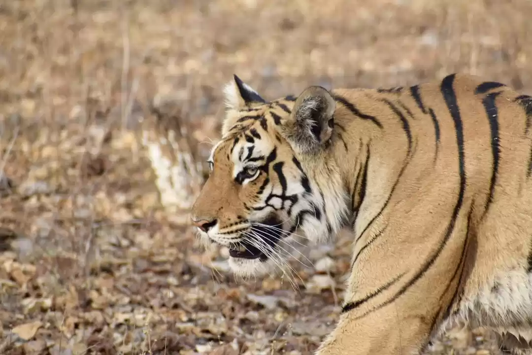 Photo of Budget travel alert!