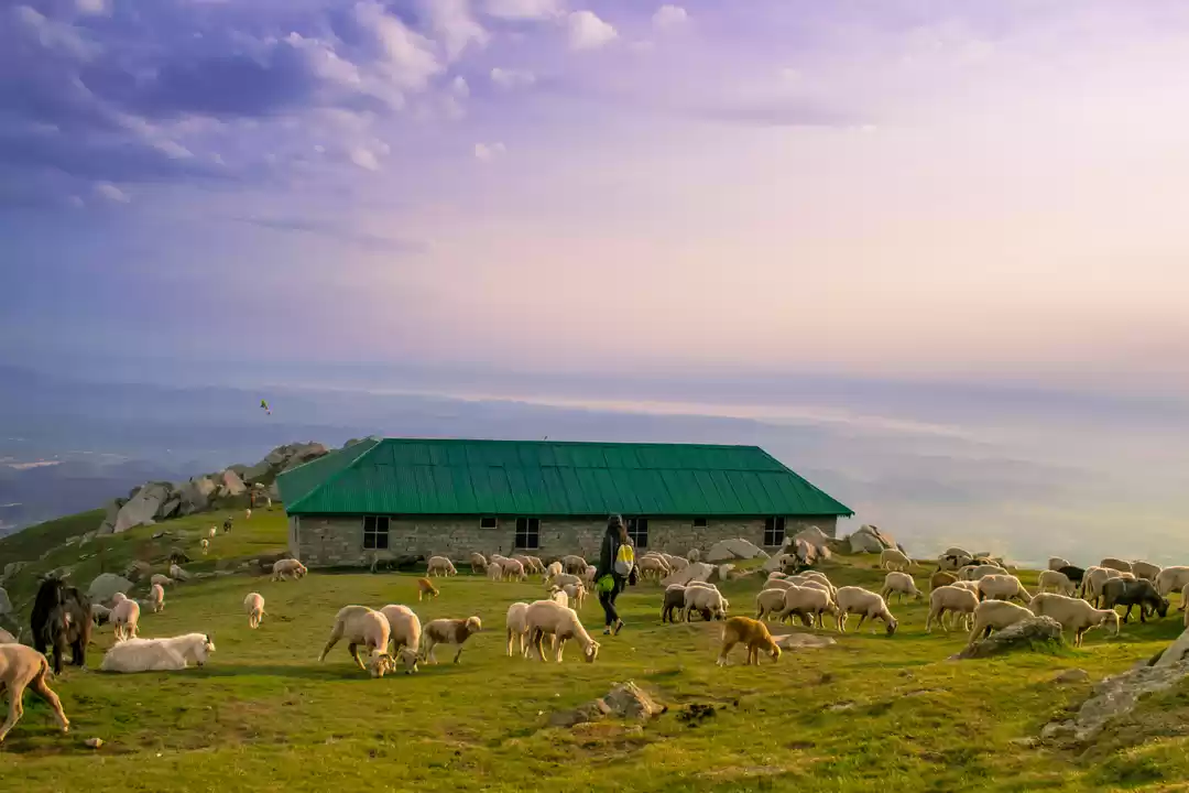 Photo of McLeodGanj - Triund