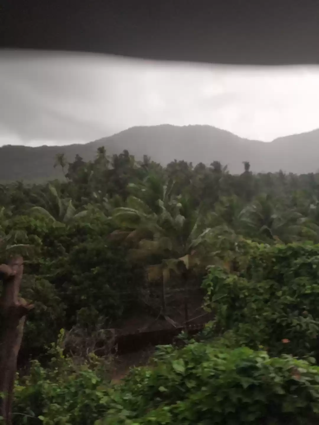 Photo of Go Green Gokarna #co