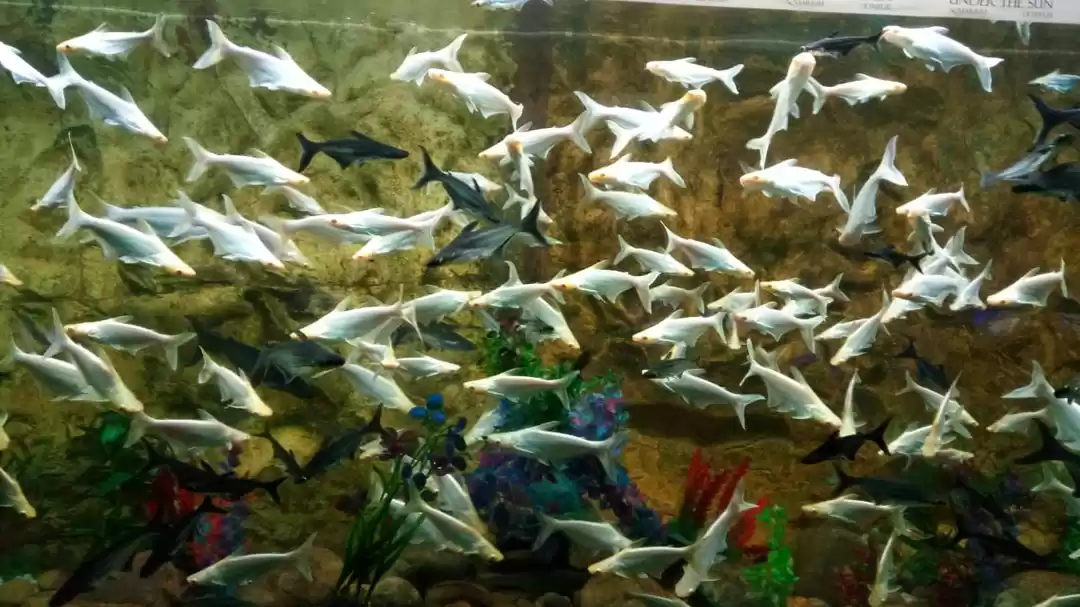 Photo of Travel save and repe