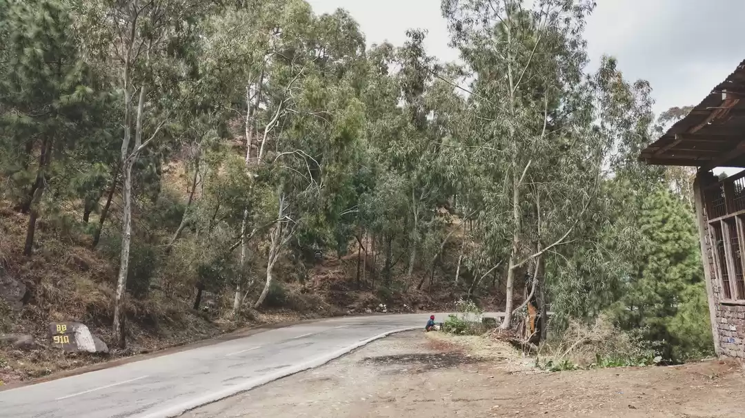 Photo of Why you should ditch