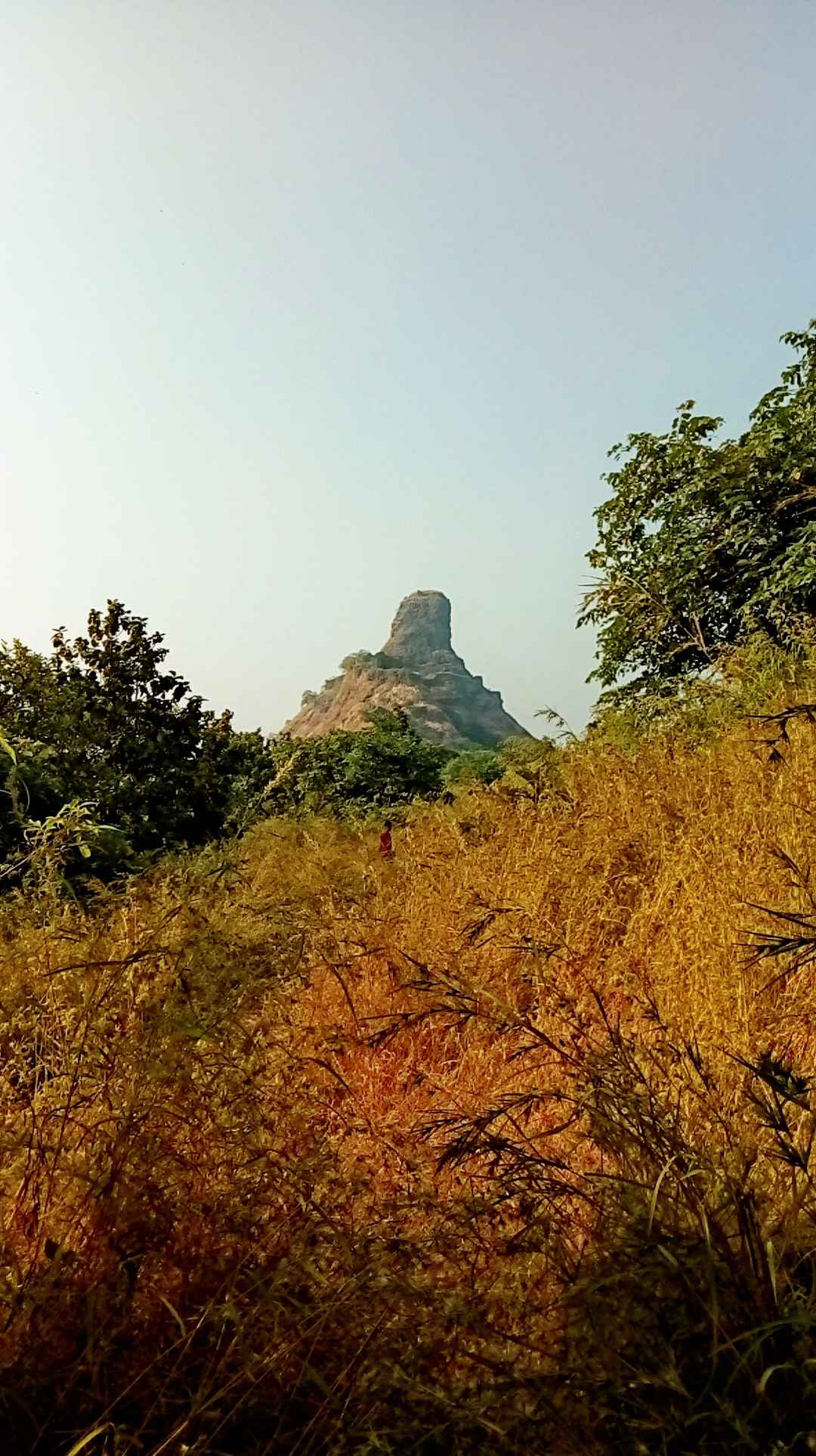 Karnala Fort Bird Sanctuary Trek To Thumb Shaped Fort Tripoto The sanctuary is quite small with an area of 12.11 square kilometres but along with the sanjay gandhi national park and tungareshwar sanctuary is one of the few sanctuaries to.