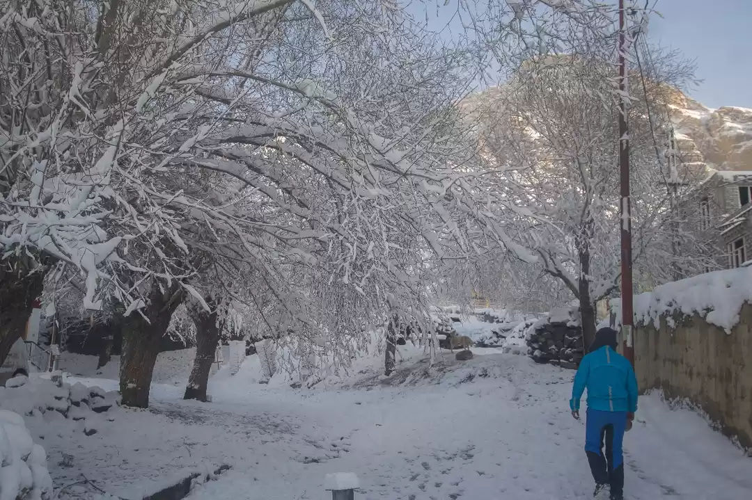 Photo of Blue is the warmest 