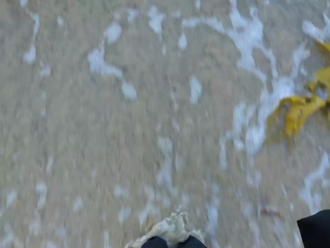 Photo of Day Trips From Sydne