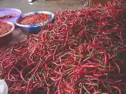 Photo of Meandering In China-