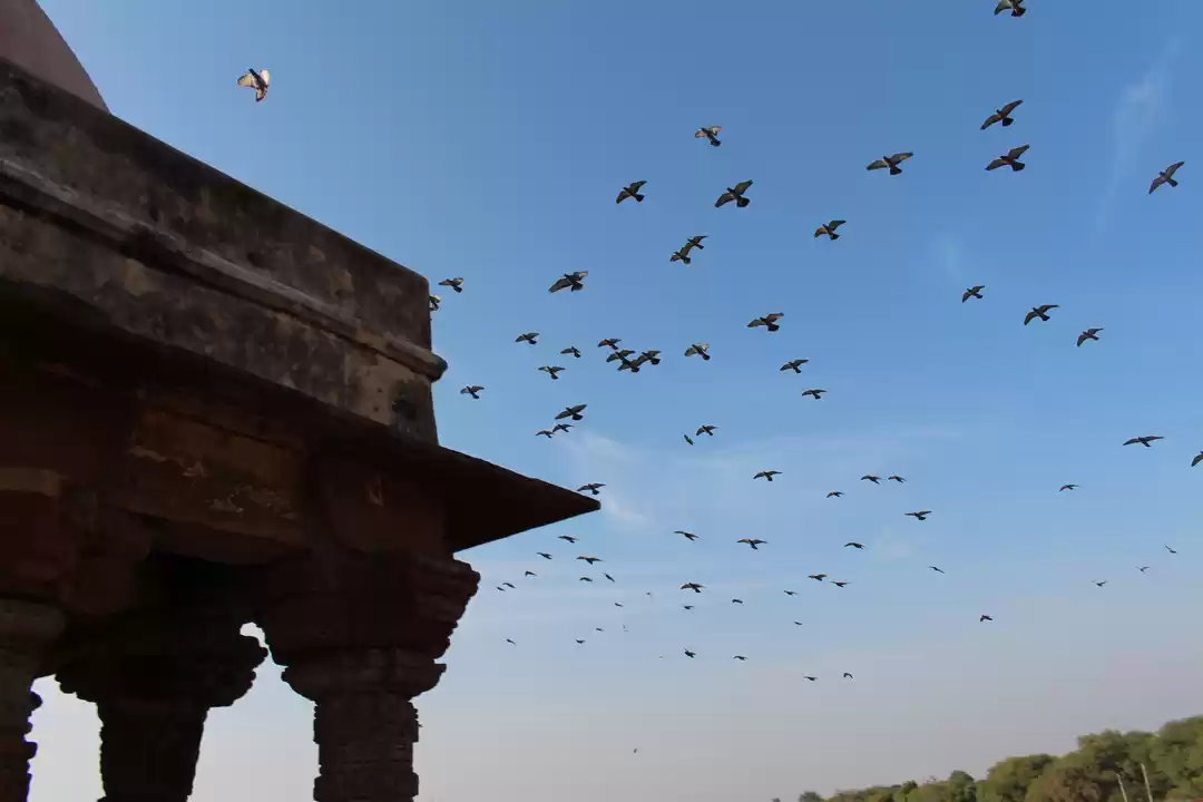 Photo of All You Need to Know