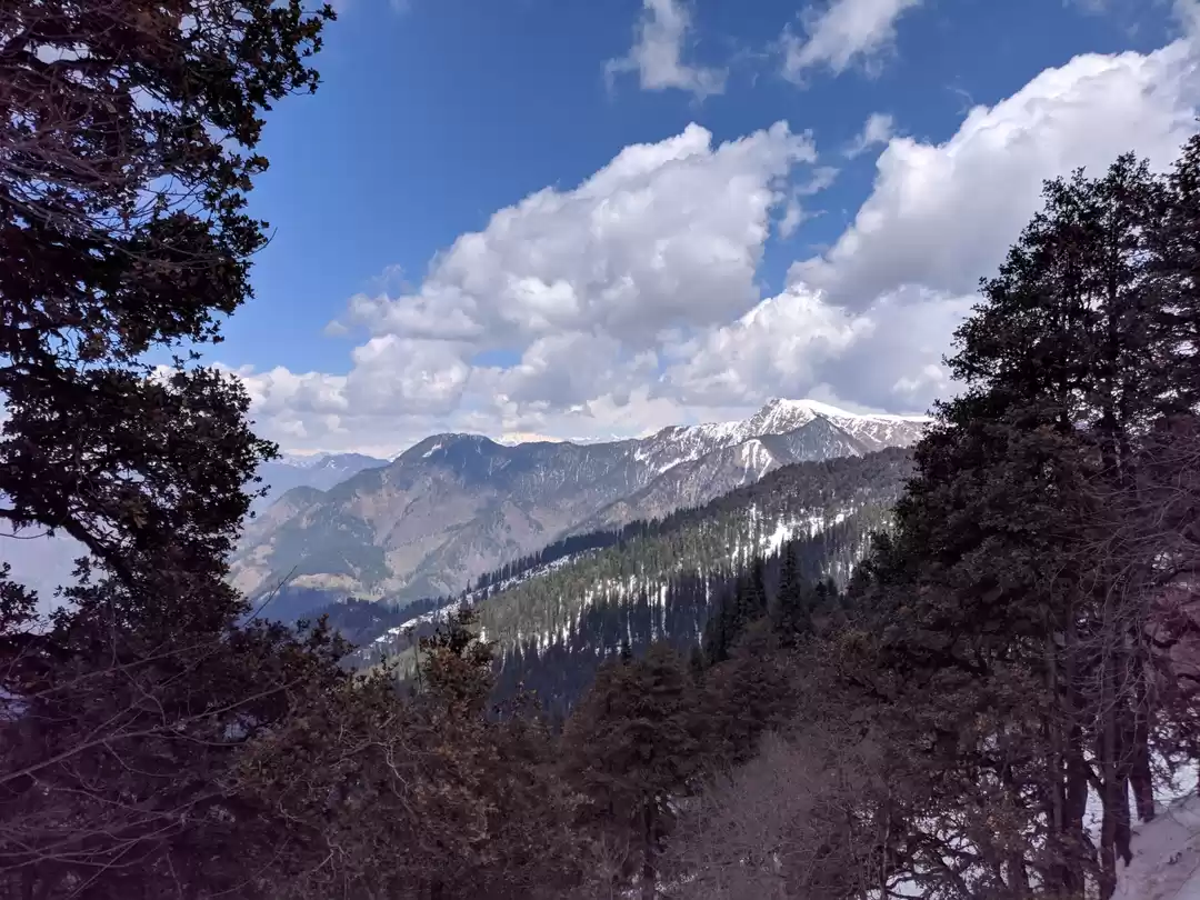 Photo of Himachal Pradesh Bes