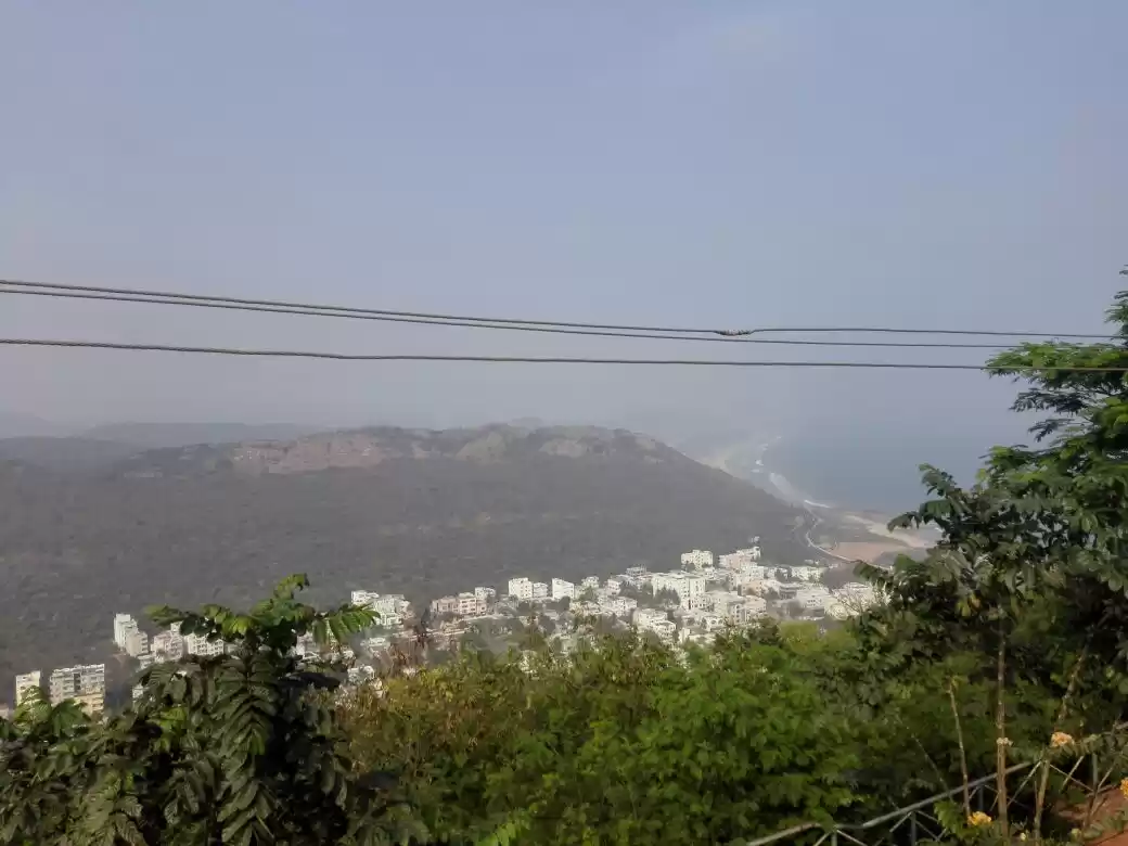 Photo of Tripsy Stories - Viz