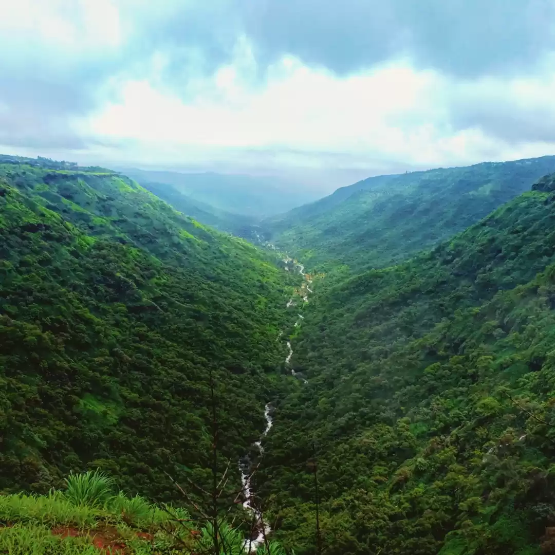 Photo of Tripsy Stories - Mis