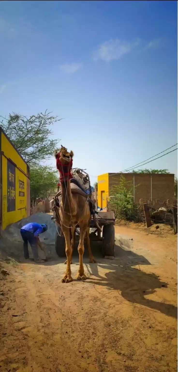 Photo of Came(L)🐪on Came(ra)
