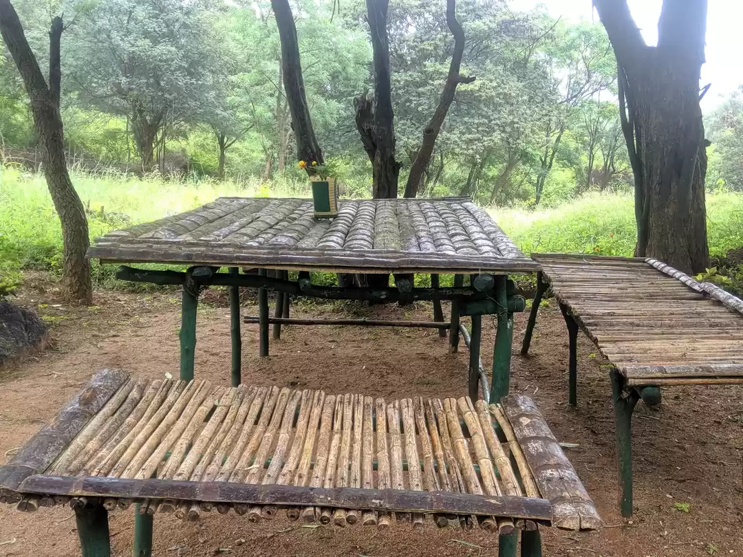 Photo of Dabbaguli- Sunday Of